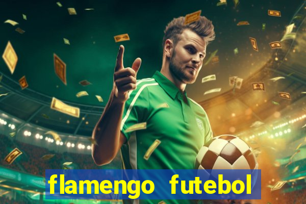 flamengo futebol play hd